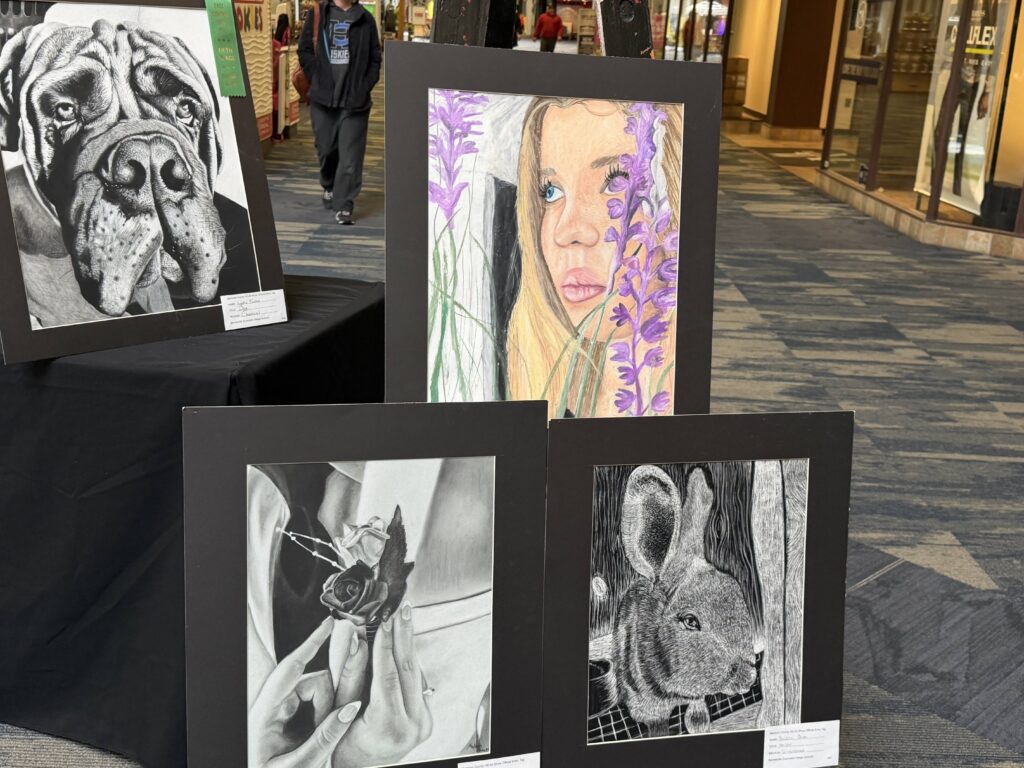 Rows of student artwork displayed on easels and black-draped tables inside the Ohio Valley Mall during the Belmont County Celebration of the Arts.